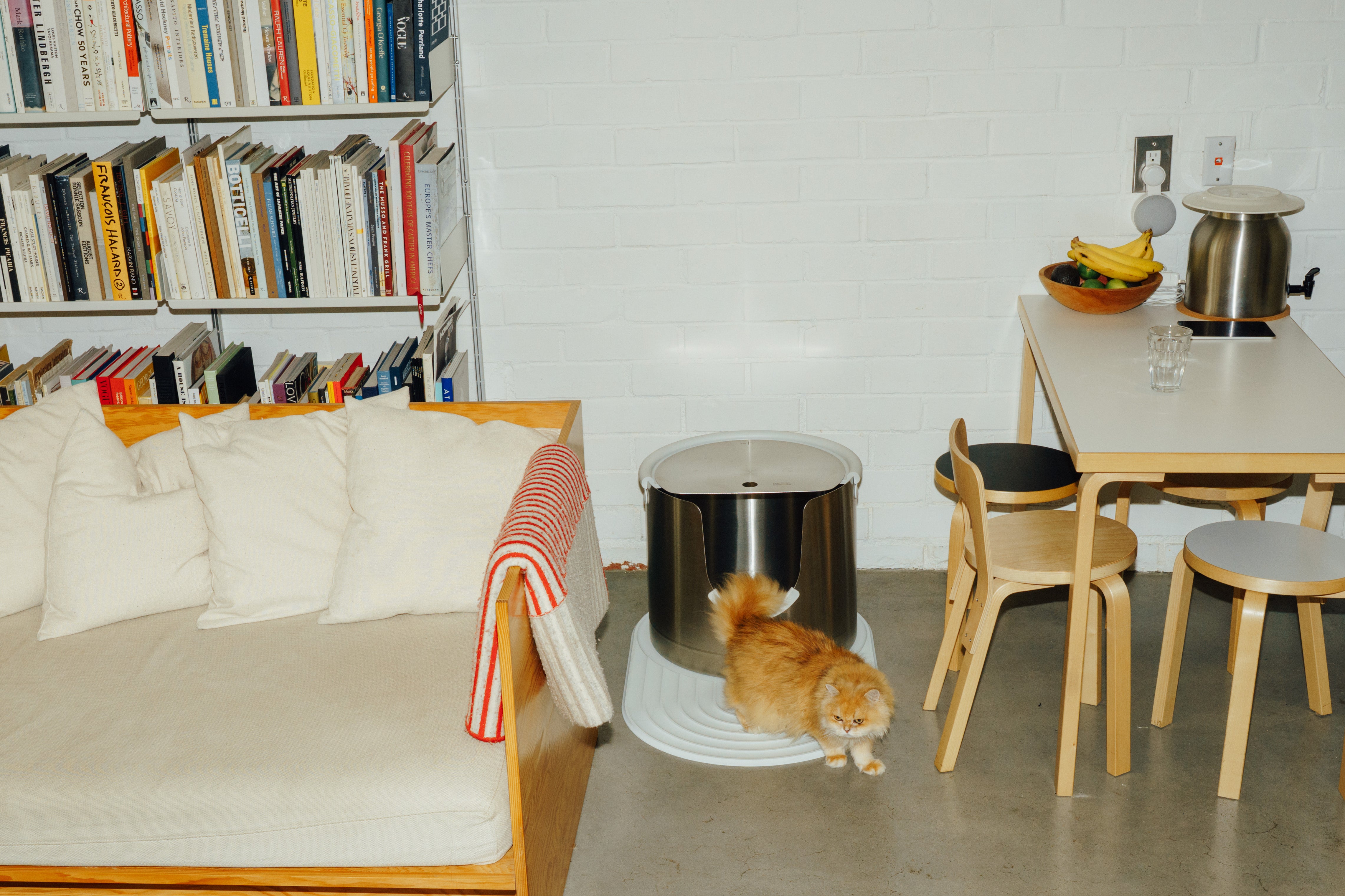 Nine Lives, One Litter Box