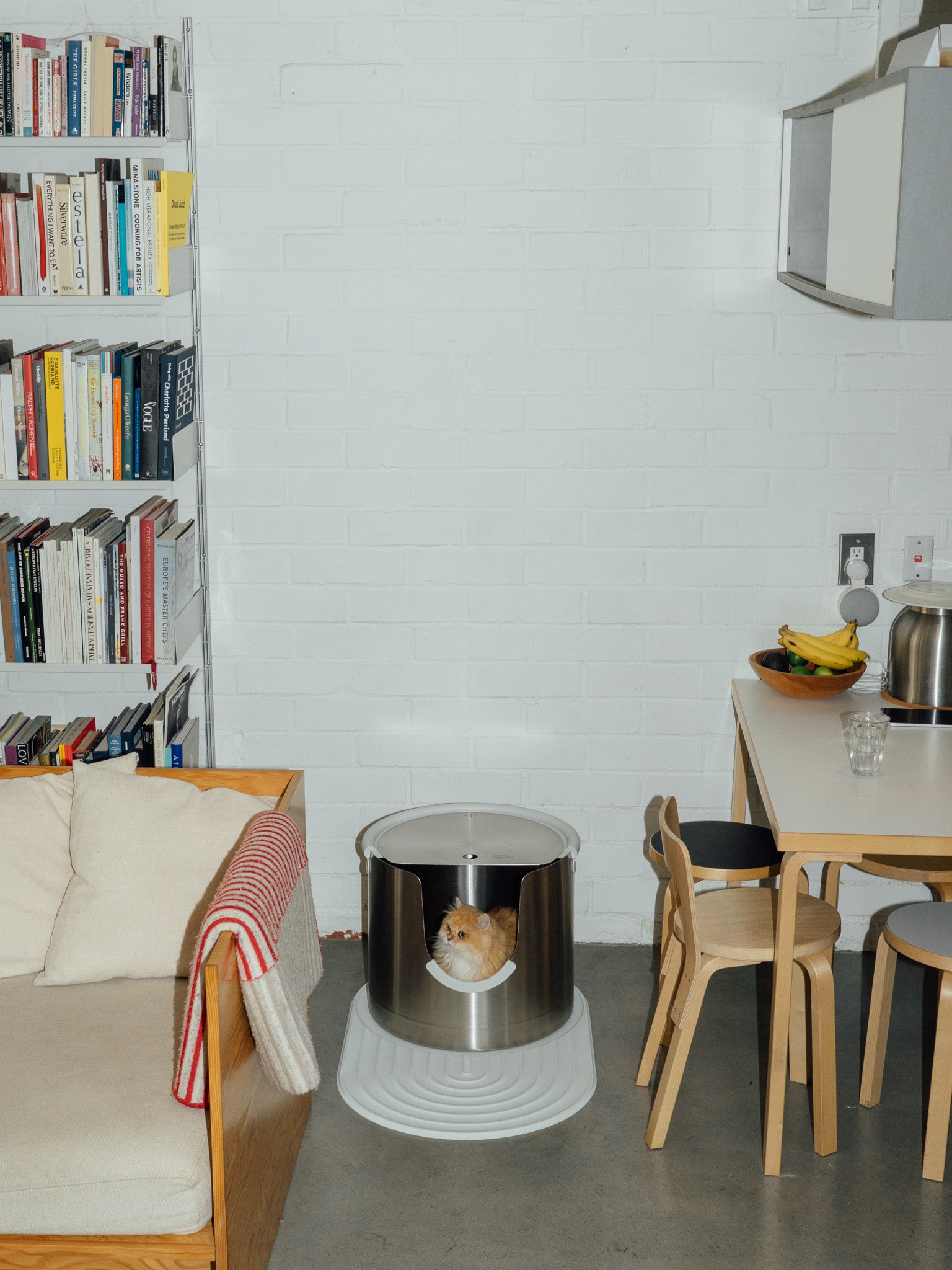 Nine Lives, One Litter Box